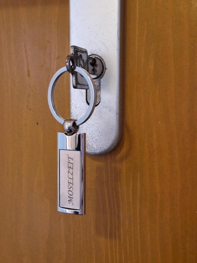 Ferienwohnung Moselzeit Алкен Екстериор снимка